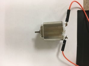树莓派和l293d的直流电动机控制